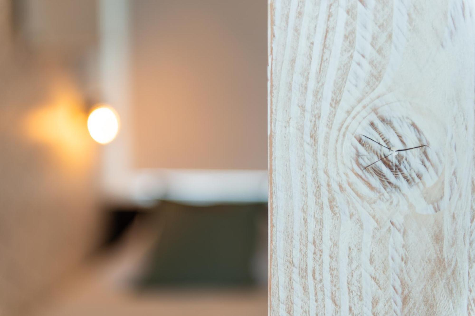 Appartement Zuyd Zandvoort Exteriér fotografie