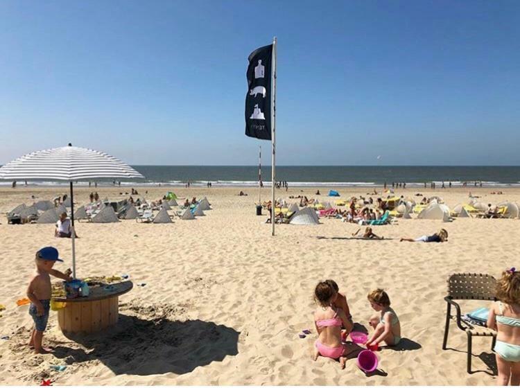 Appartement Zuyd Zandvoort Exteriér fotografie