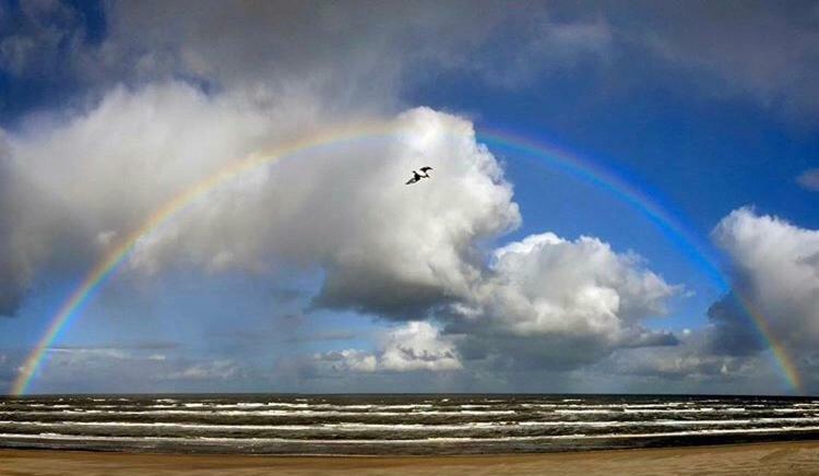 Appartement Zuyd Zandvoort Exteriér fotografie